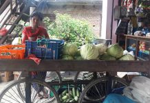 Sita Majhi in her carriage Thela