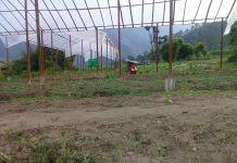 Tunnel supported by Bhimphedi R.M. to Goma B.K., member, Sungava sabal F.G.